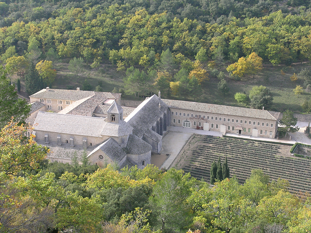 Abbaye de Sénanque - Gordes (84)