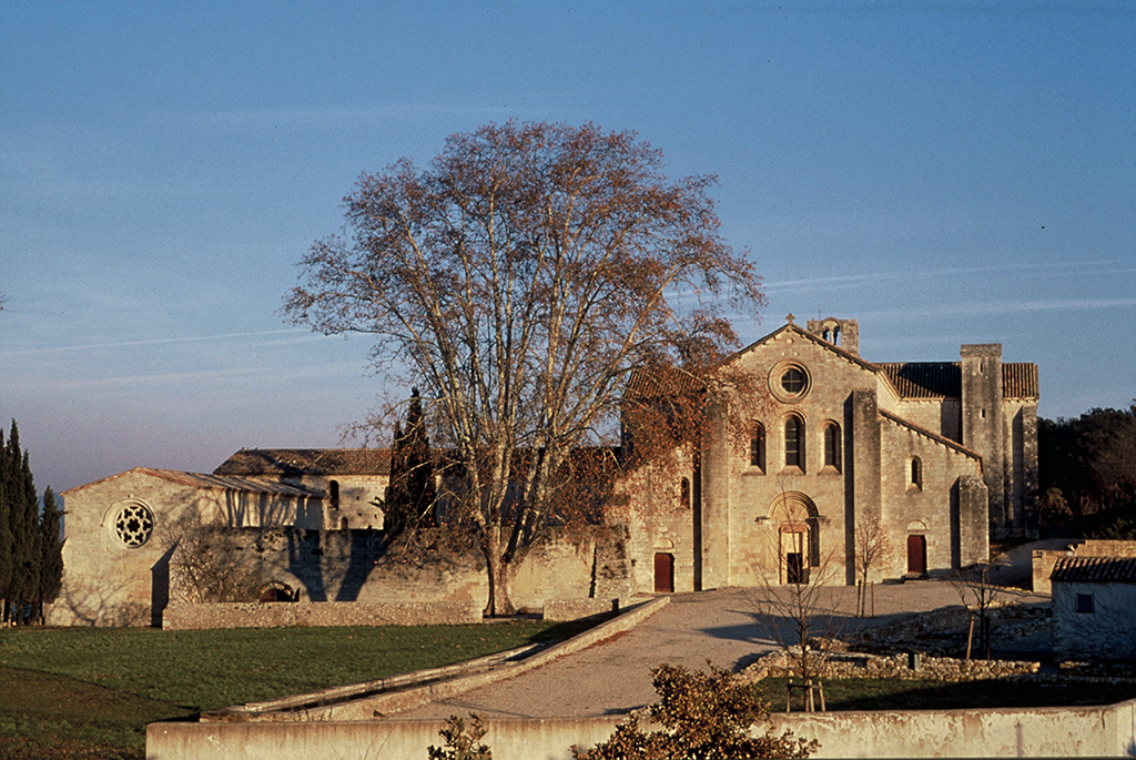 Abbaye de Silvacane - La Roque-d'Anthéron (13)